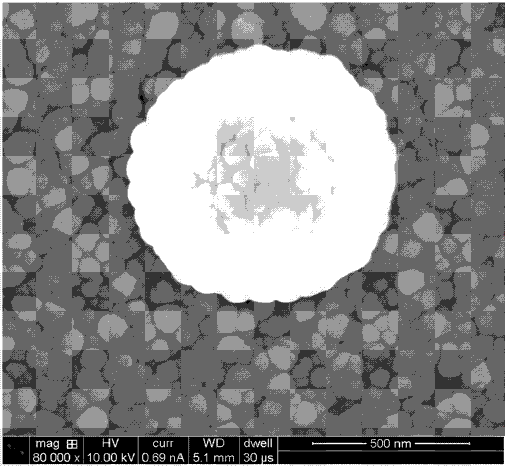 Ag+/Ag-TiO2纳米空心球制备及其可见光催化性能